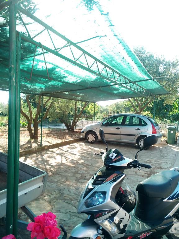 Apartmani Kapitanovic Biograd Na Moru Exteriör bild
