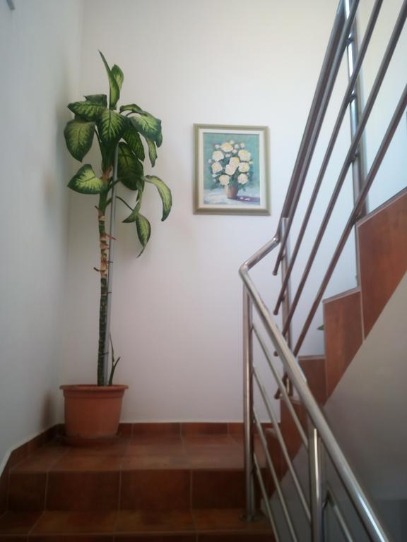 Apartmani Kapitanovic Biograd Na Moru Exteriör bild