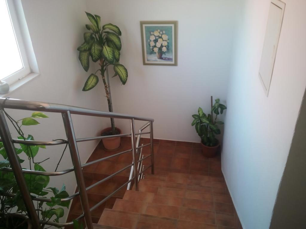 Apartmani Kapitanovic Biograd Na Moru Exteriör bild