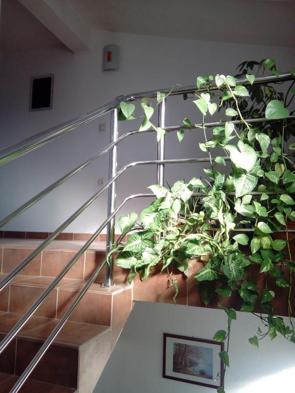 Apartmani Kapitanovic Biograd Na Moru Exteriör bild